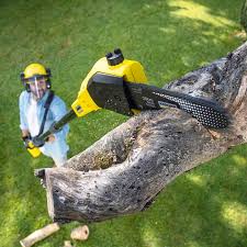 Best Lawn Watering Services  in Tallapoosa, GA